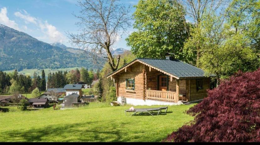 Bed and Breakfast Hauslhof à Saint Wolfgang Extérieur photo